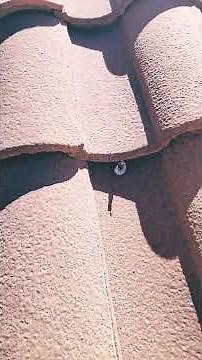 How to find tile roof leaks quick.