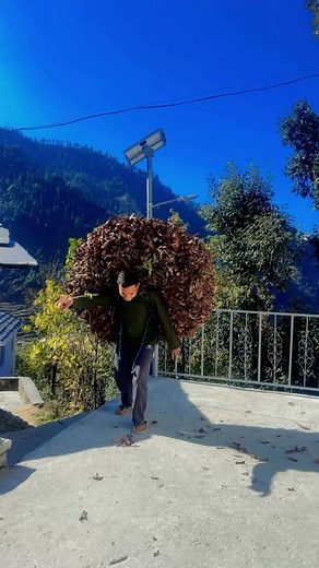 mata ji ka bharat #funnydance #funny #saturday #influencer #creator | राजपूत राकेश ठाकुर