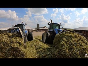 MORE 2019 Corn Silage Chopping near Versailles Ohio