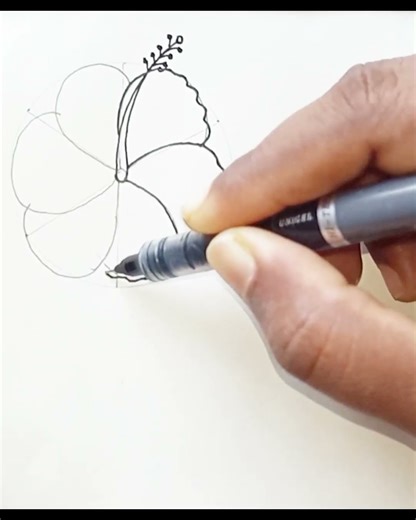 Hibiscus flower drawing in easy way #art #sketch #shorts