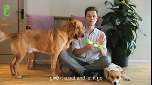 PETGEEK Automatic Interactive Dog Toys, Dog Interactive Toys for Boredom, Dog Toys Self Play for Entertainment with More Durable TPU Upgraded Material, Dog Bones for Small Medium Large Dogs (Green 1)