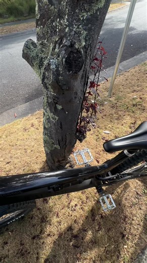 Exciting Enduro and Downhill MTB Jumps at Canyon