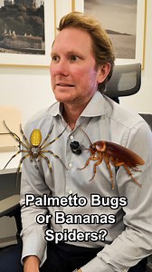 12 reactions | 10 pests. 1 winner. Which Florida pest is YOUR absolute nightmare?  | Clements Pest & Environmental Services | Facebook
