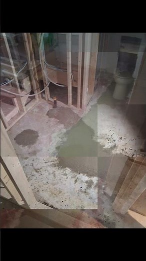 Triton Home Service's Week in London, Ontario #shorts