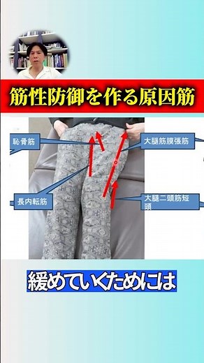 【股関節疾患に多い筋性防御を作る４つの筋】筋緊張を抑制する実践アプローチ／【セラフォーshort】石井慎一郎先生 #リハビリ #股関節 #shorts