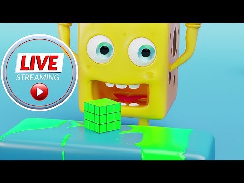 Live with Cheesy Adventures Co...