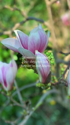 Springtime Garden: Flowers and Love Await