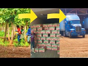 🔥🚚 ¡CARGANDO UN TRAILER EN LA FRONTERA CON 28 TONELADAS!