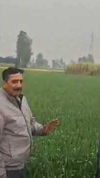 AWPL AGRICALCHAR PRODACTFROM SUNIL KUMAR