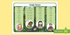 Jungle and Rainforest Sense Word Mat