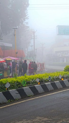 Sim's Park Circle | Coonoor