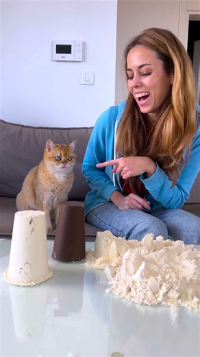 When Whiskers Gets a Surprise! 😺🎉 #catchallenge