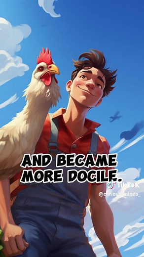 Why Chickens Can't Fly: The Evolution and Domestication Story