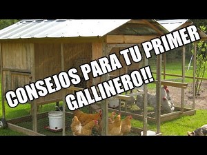 COMO HACER TU PRIMER GALLINERO, CONSEJOS PARA TU PRIMER GALLINERO