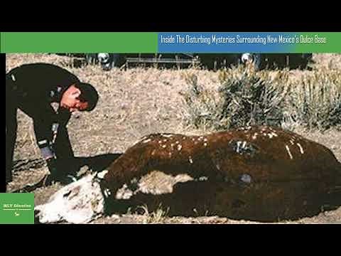 Inside The Disturbing Mysteries Surrounding New Mexico’s Dulce Base