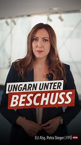 27K views · 2.6K reactions |  Ungarn unter Beschuss und Europa...