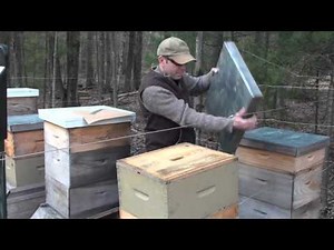 Winter Feeding Honeybees