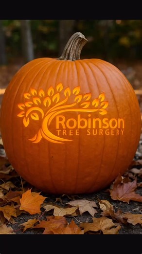 16 reactions |  Happy Halloween from Robinson Tree Surgery!  The...