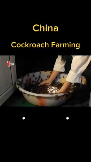 #HPRadicalReuse #lifehack #lipas #bajalipas