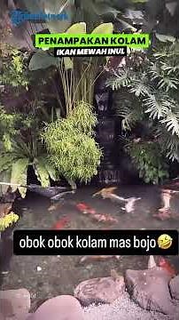 Nyaris Merenggut Nyawa Adam Suseno, Intip Penampakan Kolam Ikan Mewah Inul Daratista di Rumah