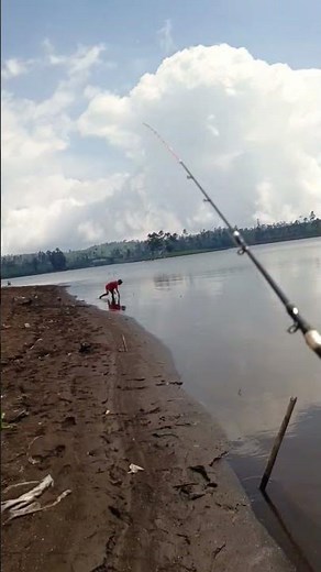 mancing di danau #fishing #spotrawarawa #carpfishing #fish #fisherman #bassfishing