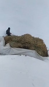 131K views · 177 reactions | "پہاڑی لوگ برف کے طوفانوں سے بھی ٹکرا...