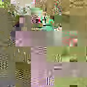 Can you imagine living under your garden, your flowers, your trees, in a green vibrant living environment? These Hobbit homes are earthquake and tornado proof and can be built by anyone in 3 days. They cost around $35 square foot. :O :D | Indiatimes