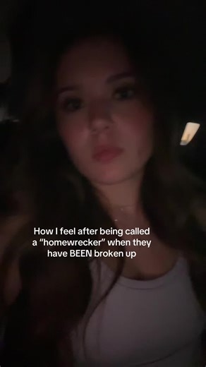 Understanding the Homewrecker Label After a Breakup