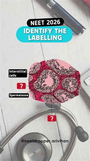 NEET 2026 Biology NCERT Diagram Challenge 🔥 | Identify the Labelling | PYQ Based Question