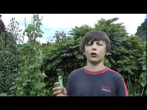 How to replace a damaged fishing rod tip guide