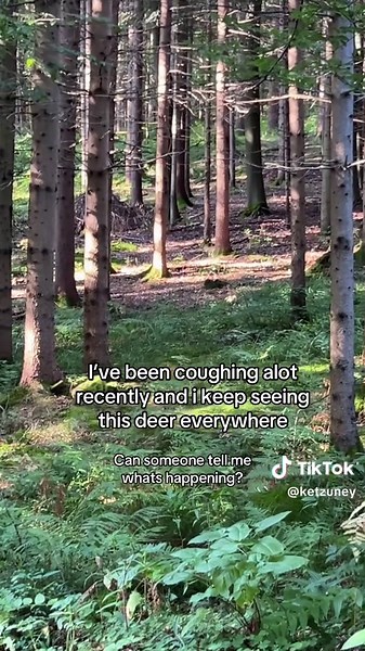 Understanding Arthur Morgan's Journey in Red Dead Redemption 2