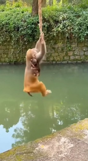 3.1M views · 17K reactions | Rsa Times on Reels | Facebook