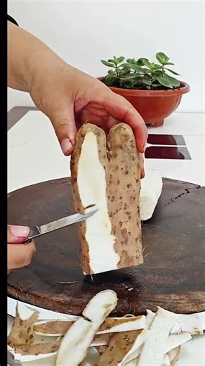 Amazing Food Carving Tricks for Beginners#Food Cutting design Skills # Knife Skills#