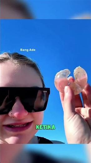 this is where sea snails hatch