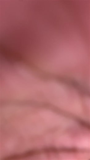 Effective iPhone Flipping Tips for Quick Profit