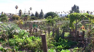 Improvements to Wattles Garden Park Dedicated