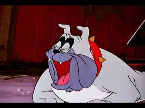 Pluto - Wonder Dog (1950)