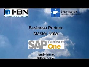 Business Partner Master Data in SAP Business One