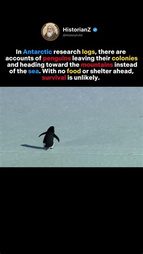 An Event Documented, Not Understood