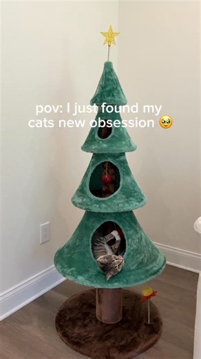 1.3M views · 963 reactions | #ad This Christmas-themed cat tree is...