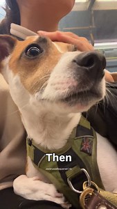 3.8K reactions · 37 shares | FAQs about it before anyone jumps to...