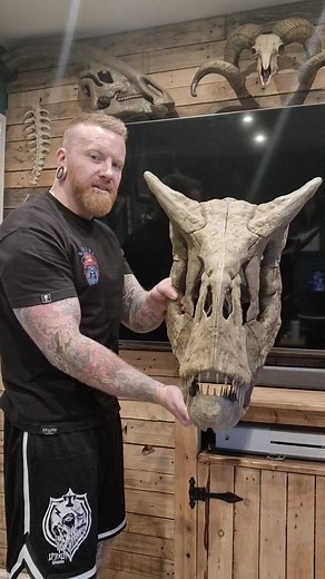 Exploring the Carnotaurus: A Jurassic Marvel