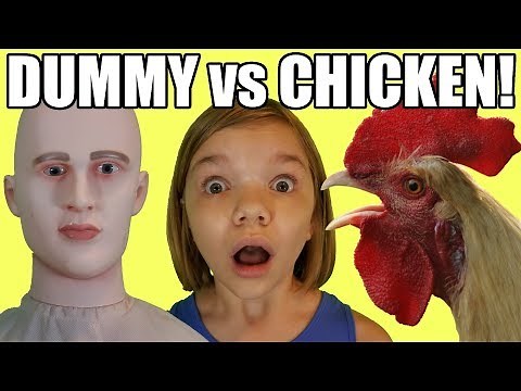 Dummy vs. Chicken! The Ultimate Showdown