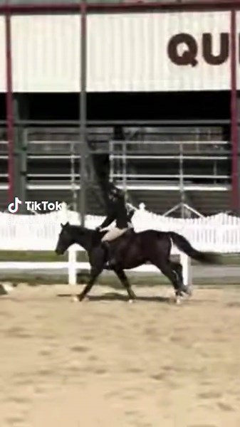 Oh Simon how r you so perfect!! Best boy jumping to an 82 and an 85 for a average of a 83.5! Ignore the camera quality lol