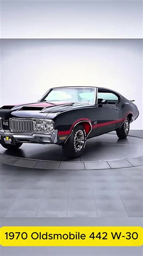1970 Oldsmobile 442 W-30 | Teresa Treadwell