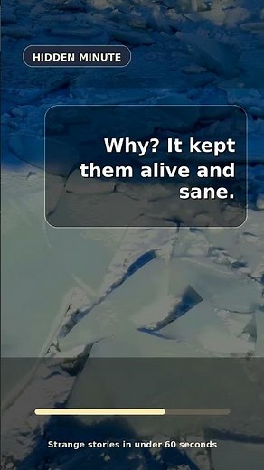 How Shackleton’s Crew Survived on Seal Blood and a Tiny Boat