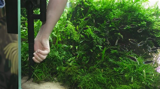 FZN PRO to nowość wśród filtrów kaskadowych 💦. Cichy, komfortowy i uniwersalny, z szeregiem atutów: ✅ Silnik pod wodą, co przekłada się na wygłuszoną pracę ✅ Wylew zlicowany z lustrem wody – efekt delikatnej fali ✅ Samoczynne zalewanie filtra ✅ Otwory w obudowie redukcją efekt tuby rezonansowej ✅ Ogumowane elementy styku urządzenia z akwarium eliminują drgania ✅ Duże pokrętło regulacji mocy pozwala precyzyjnie ustawić wydajność ✅ Wygodny koszyk na kartridże filtracyjne ułatwia wymianę mediów ✅ 