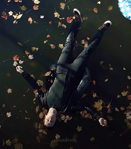 Understanding Bipolar Disorder through Shameless Moments