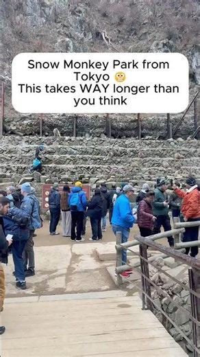 Snow Monkey Park from Tokyo — Is It Worth It? (Real Travel Time)
