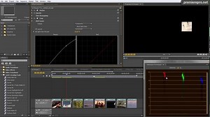Color Grading and finishing in Premiere Pro CS5.5